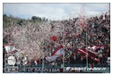 [Click per ingrandire l' immagine ]