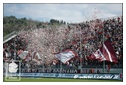 [Click per ingrandire l' immagine ]