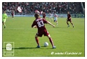 [Click per ingrandire l' immagine ]