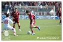 [Click per ingrandire l' immagine ]