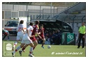 [Click per ingrandire l' immagine ]