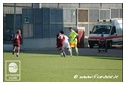 [Click per ingrandire l' immagine ]