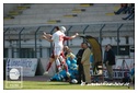 [Click per ingrandire l' immagine ]