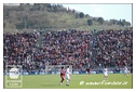 [Click per ingrandire l' immagine ]
