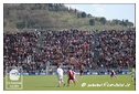 [Click per ingrandire l' immagine ]
