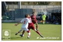 [Click per ingrandire l' immagine ]