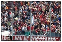 [Click per ingrandire l' immagine ]