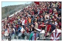 [Click per ingrandire l' immagine ]