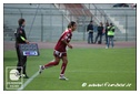 [Click per ingrandire l' immagine ]