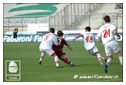 [Click per ingrandire l' immagine ]