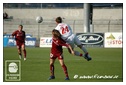 [Click per ingrandire l' immagine ]