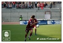 [Click per ingrandire l' immagine ]