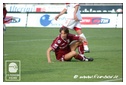 [Click per ingrandire l' immagine ]