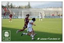 [Click per ingrandire l' immagine ]
