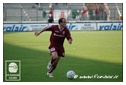[Click per ingrandire l' immagine ]