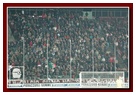 [Click per ingrandire l' immagine ]