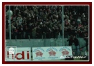 [Click per ingrandire l' immagine ]