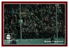 [Click per ingrandire l' immagine ]