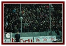 [Click per ingrandire l' immagine ]