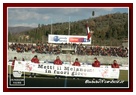 [Click per ingrandire l' immagine ]