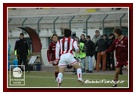 [Click per ingrandire l' immagine ]