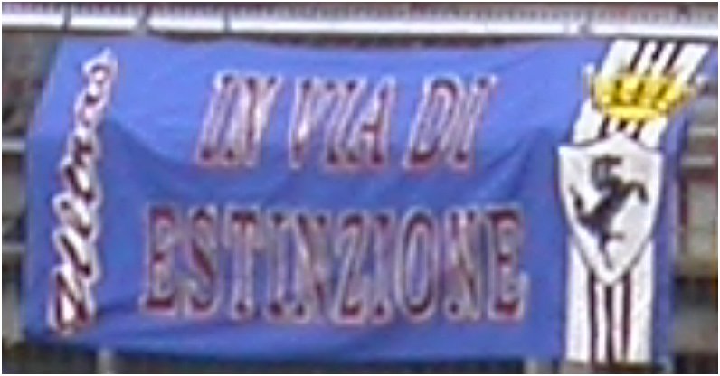 inviadestinzione