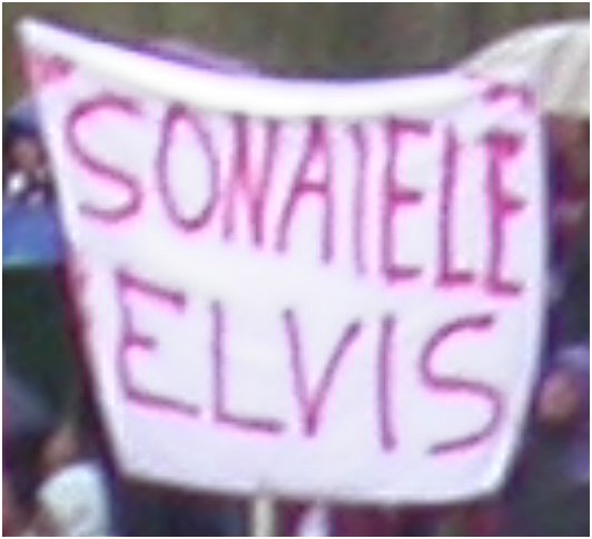 sonaieleElvis