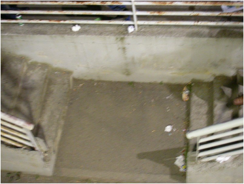 DSCN1329